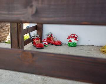 Фото номера Дом для отпуска Дома для отпуска Casa De Vacanta Armi г. Molidu 74