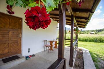 Фото номера Дом для отпуска Дома для отпуска Casa De Vacanta Armi г. Molidu 27